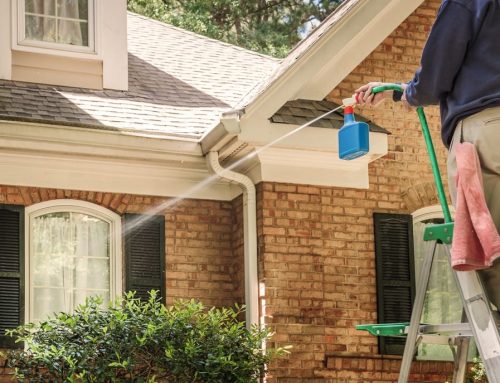 Avoid Cleaning Windows with the Garden Hose