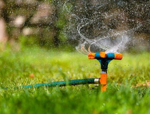 Properly Adjust Sprinkler Systems