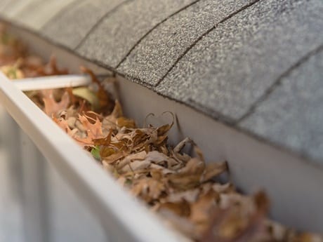 Jensen Gutter Cleaning in Santa Rosa CA