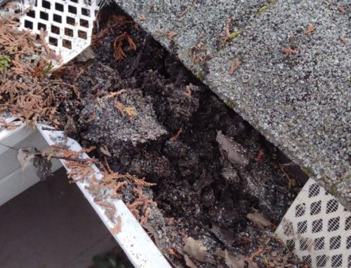 Do I Need Gutter Guards?